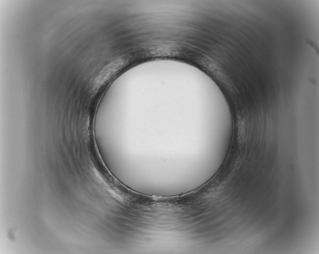 X0000102540490200808291845