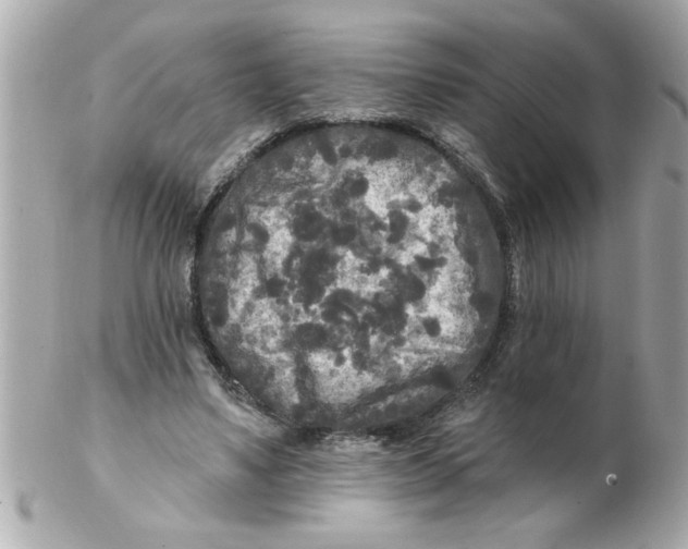 X0000102540491200808291845