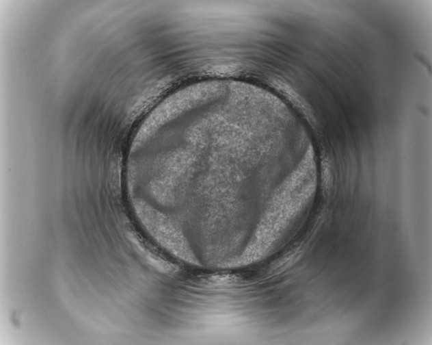 X0000102540493200808291845