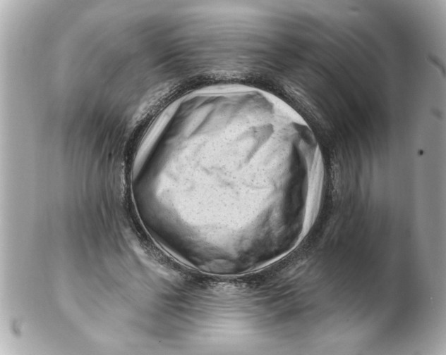 X0000102540494200808291845