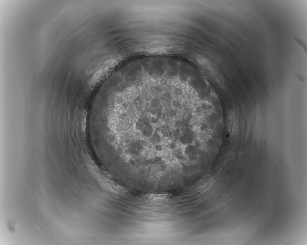 X0000102540495200808291845