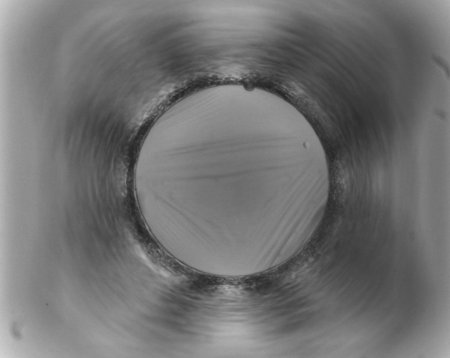 X0000102540496200808291845