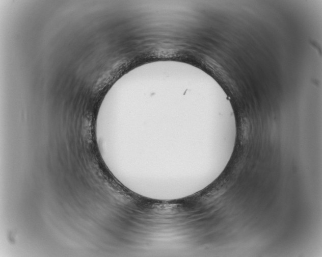 X0000102540497200808291845