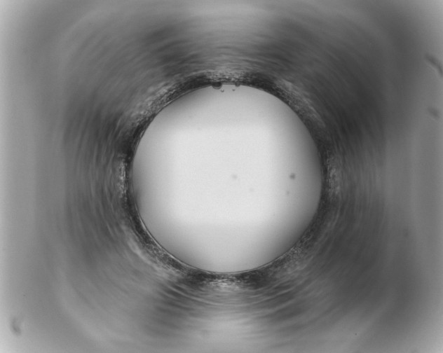 X0000102540498200808291845