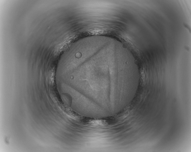 X0000102540499200808291845