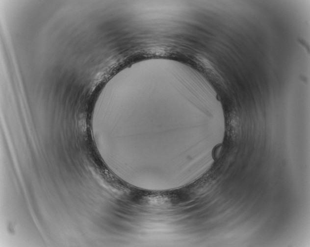 X0000102540500200808291845