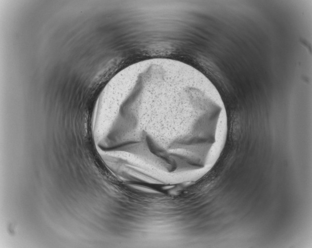 X0000102540501200808291845