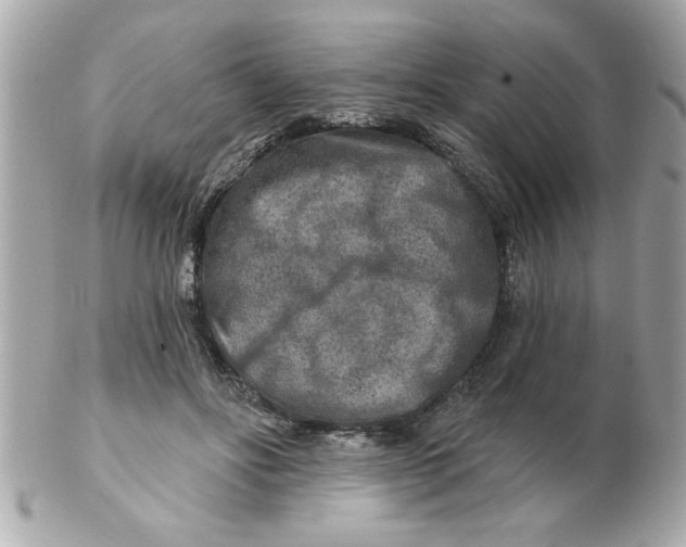 X0000102540502200808291845