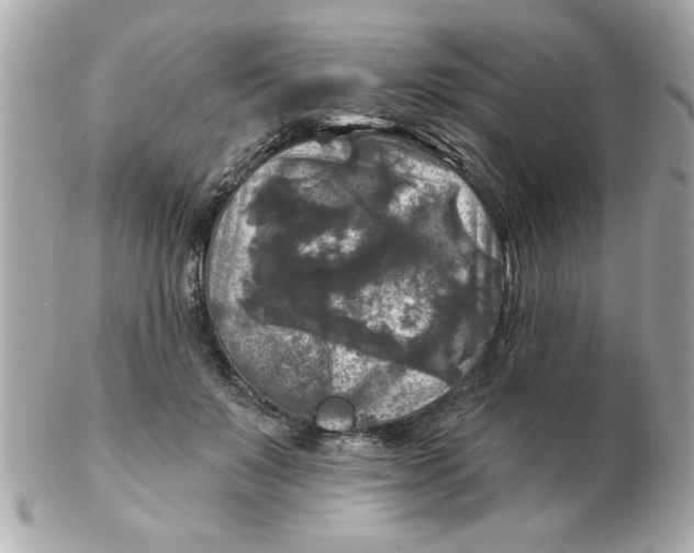 X0000102540503200808291845