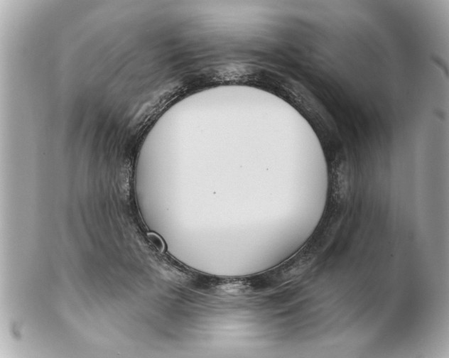 X0000102540505200808291845