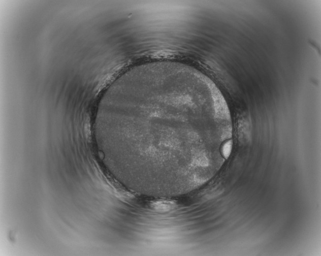 X0000102540508200808291845