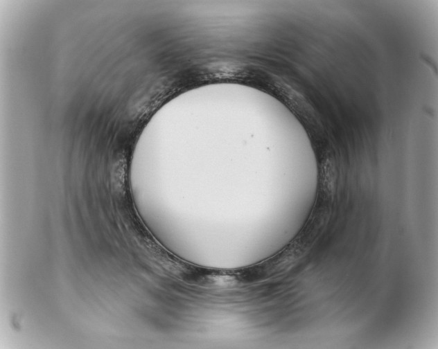 X0000102540509200808291845