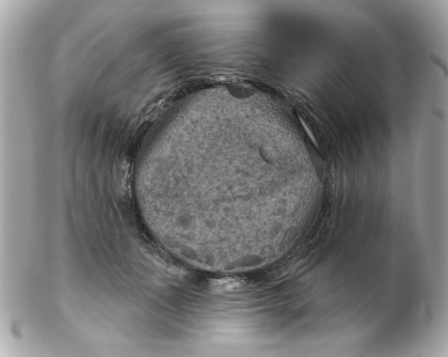 X0000102540511200808291845