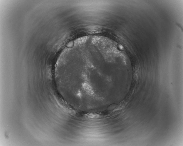 X0000102540512200808291845