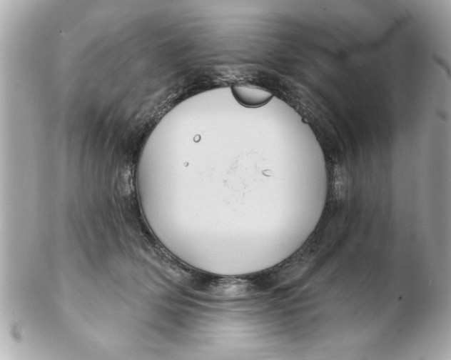 X0000102540514200808291845