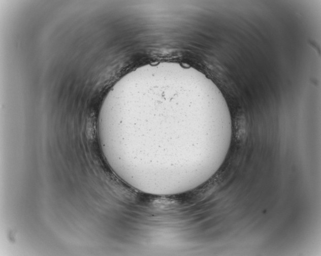 X0000102540515200808291845