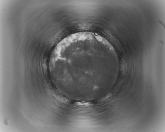 X0000102540516200808291845