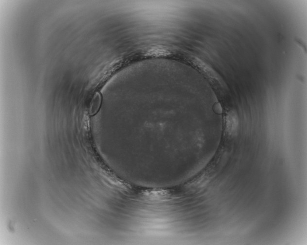 X0000102540517200808291845