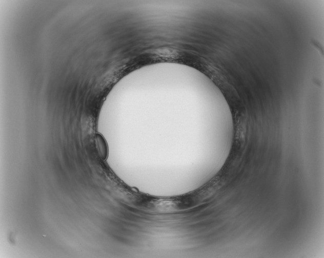 X0000102540518200808291845