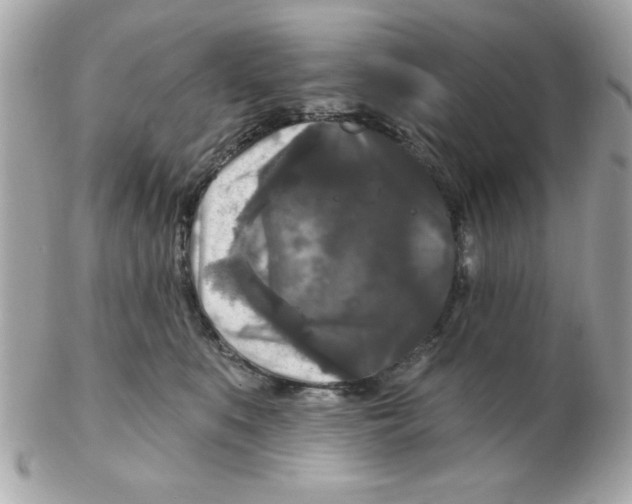 X0000102540519200808291844