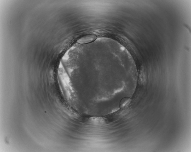 X0000102540520200808291844