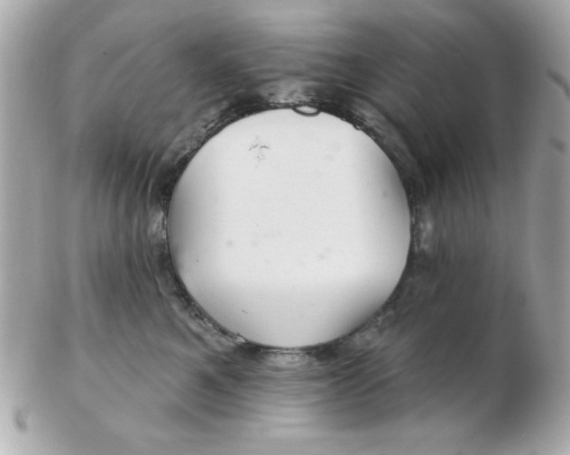 X0000102540521200808291844