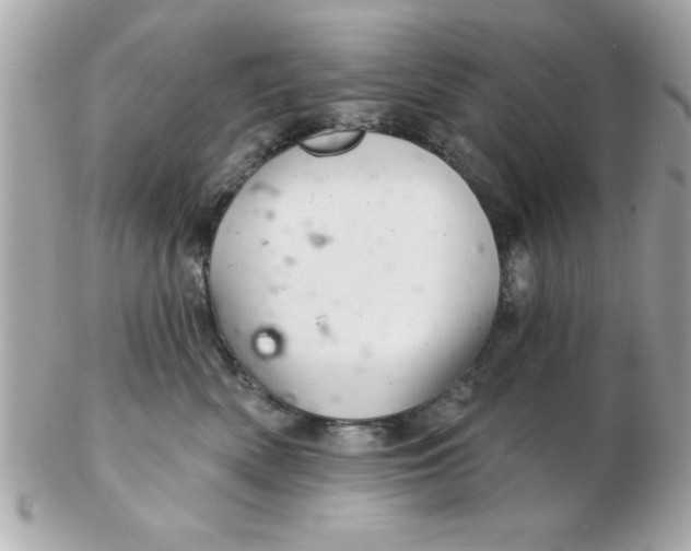 X0000102540522200808291844