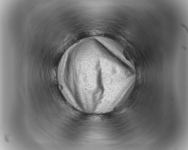 X0000102540523200808291844