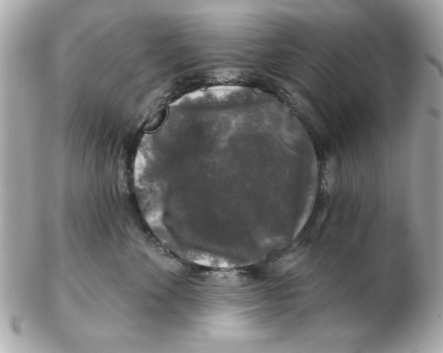 X0000102540524200808291844