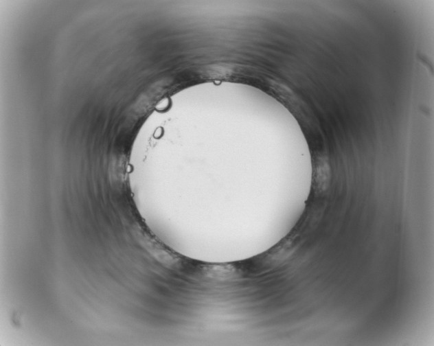 X0000102540525200808291844