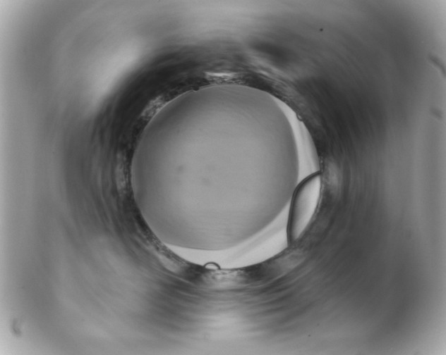 X0000102540526200808291844