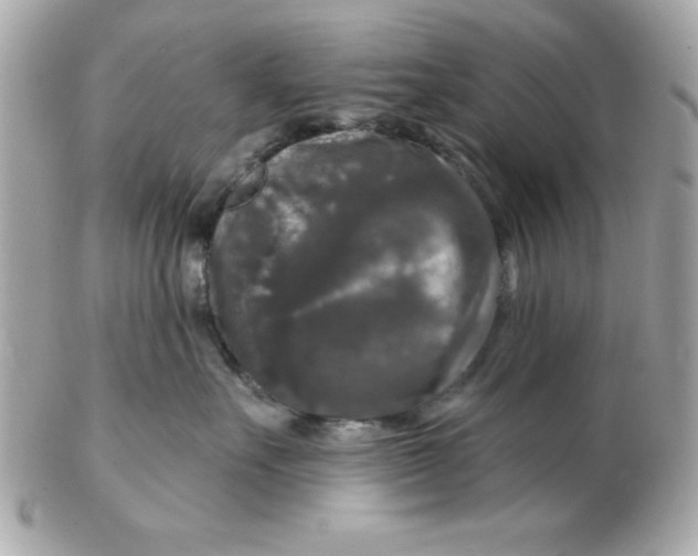 X0000102540527200808291844