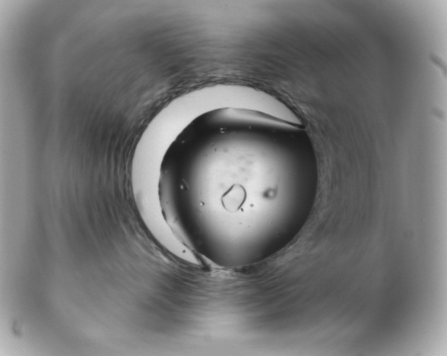 X0000102540528200808291844