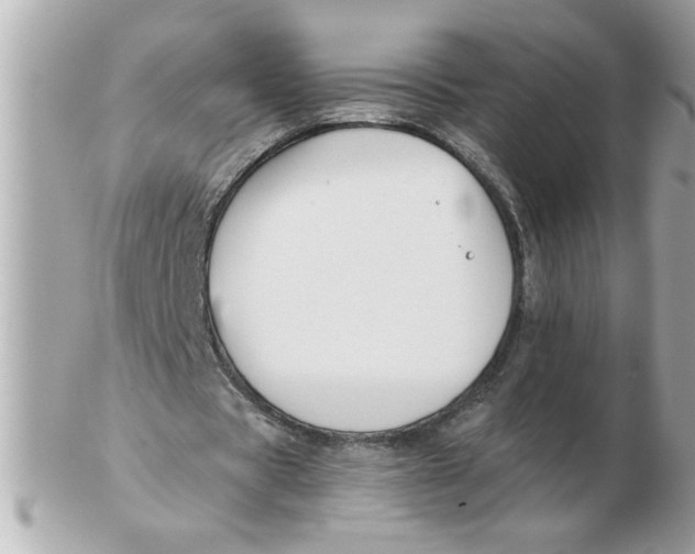 X0000102540529200808291844