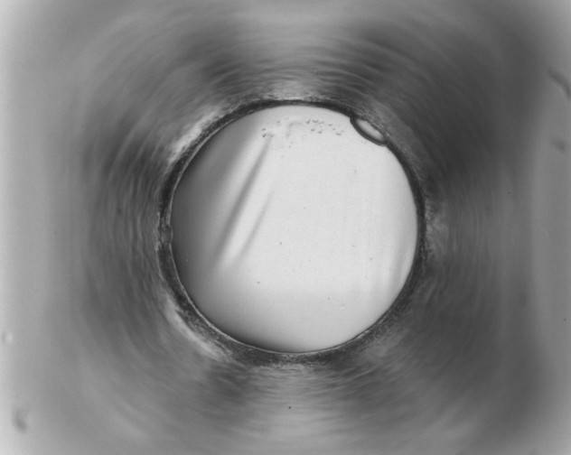 X0000102540530200808291844