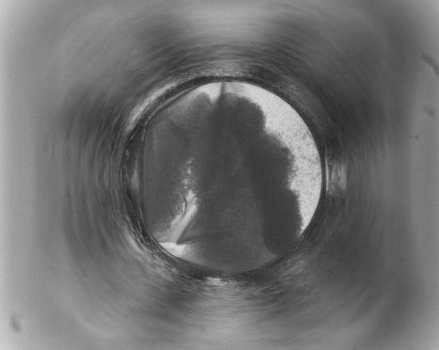 X0000102540531200808291844