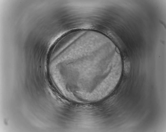 X0000102540532200808291844