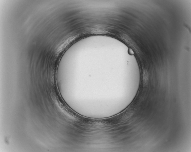 X0000102540533200808291844