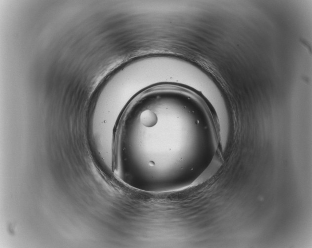 X0000102540534200808291844