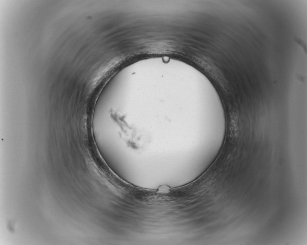 X0000102540535200808291844