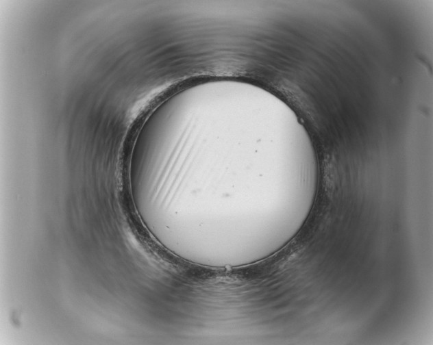 X0000102540536200808291844