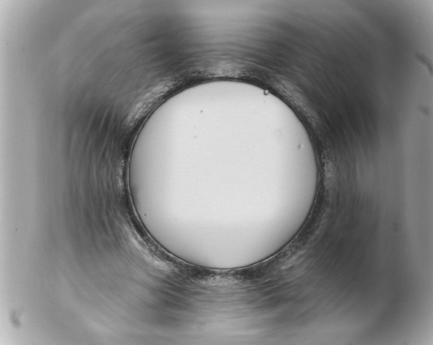 X0000102540537200808291844