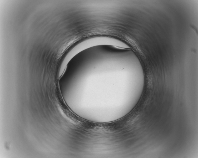 X0000102540538200808291844