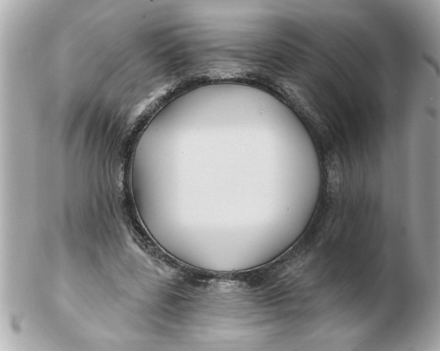 X0000102540539200808291844