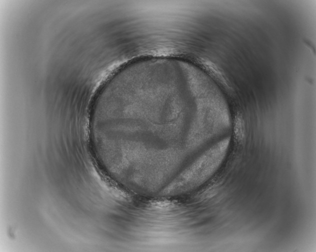 X0000102540540200808291844