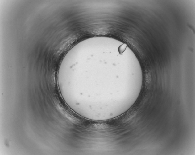 X0000102540541200808291844