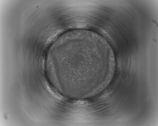 X0000102540542200808291844