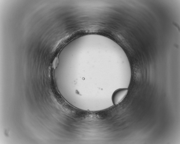 X0000102540543200808291844