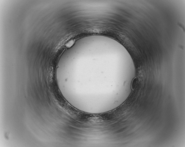 X0000102540544200808291844