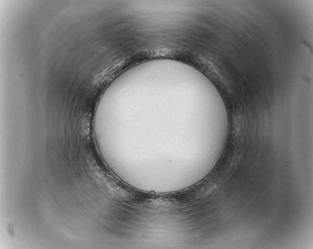 X0000102540545200808291844